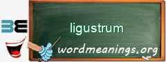 WordMeaning blackboard for ligustrum